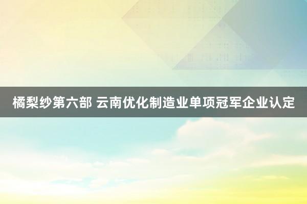 橘梨纱第六部 云南优化制造业单项冠军企业认定