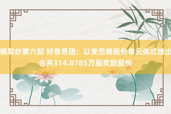 橘梨纱第六部 好意思团：以受范畴股份单元体式授出合共314.8785万股奖励股份