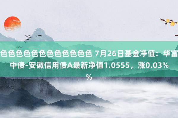 色色色色色色色色色色色色 7月26日基金净值：华富中债-安徽信用债A最新净值1.0555，涨0.03%