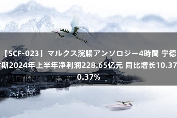 【SCF-023】マルクス浣腸アンソロジー4時間 宁德时期2024年上半年净利润228.65亿元 同比增长10.37%