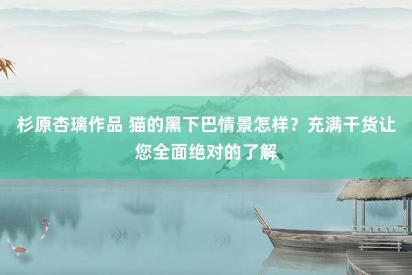 杉原杏璃作品 猫的黑下巴情景怎样？充满干货让您全面绝对的了解