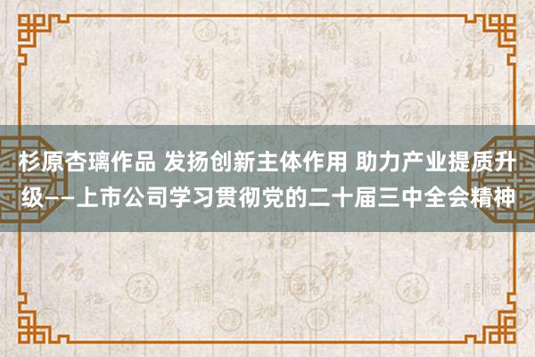 杉原杏璃作品 发扬创新主体作用 助力产业提质升级——上市公司学习贯彻党的二十届三中全会精神