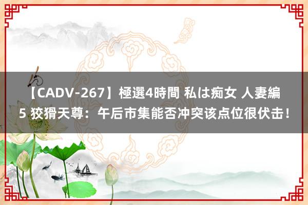 【CADV-267】極選4時間 私は痴女 人妻編 5 狡猾天尊：午后市集能否冲突该点位很伏击！