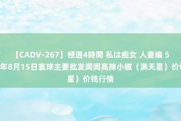 【CADV-267】極選4時間 私は痴女 人妻編 5 2024年8月15日寰球主要批发阛阓高辣小椒（满天星）价钱行情