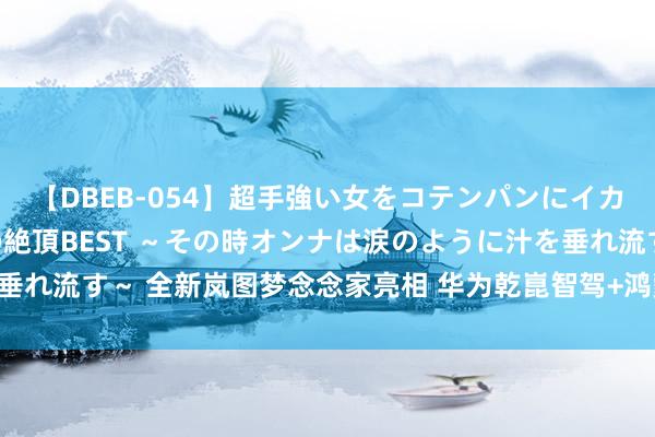 【DBEB-054】超手強い女をコテンパンにイカせまくる！危険な香りの絶頂BEST ～その時オンナは涙のように汁を垂れ流す～ 全新岚图梦念念家亮相 华为乾崑智驾+鸿蒙座舱初次搭载MPV