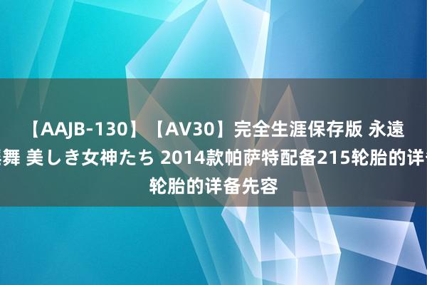 【AAJB-130】【AV30】完全生涯保存版 永遠なる淫舞 美しき女神たち 2014款帕萨特配备215轮胎的详备先容