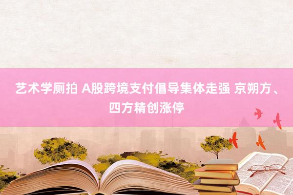 艺术学厕拍 A股跨境支付倡导集体走强 京朔方、四方精创涨停