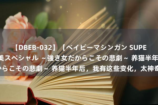 【DBEB-032】［ベイビーマシンガン SUPER BEST ］ガチンコ女闘美スペシャル ～強き女だからこその悲劇～ 养猫半年后，我有这些变化，太神奇了！