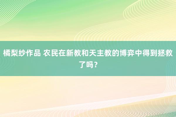 橘梨纱作品 农民在新教和天主教的博弈中得到拯救了吗？