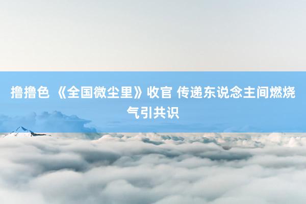 撸撸色 《全国微尘里》收官 传递东说念主间燃烧气引共识