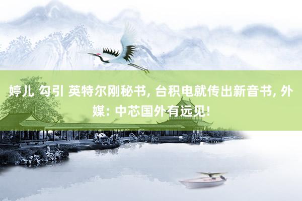 婷儿 勾引 英特尔刚秘书, 台积电就传出新音书, 外媒: 中芯国外有远见!